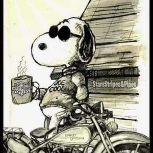 Meet your Posher, Scott